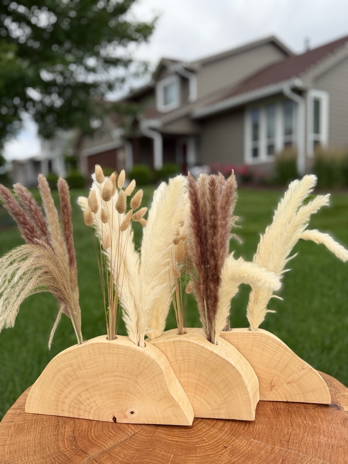 Wooden vases with glass bulbs